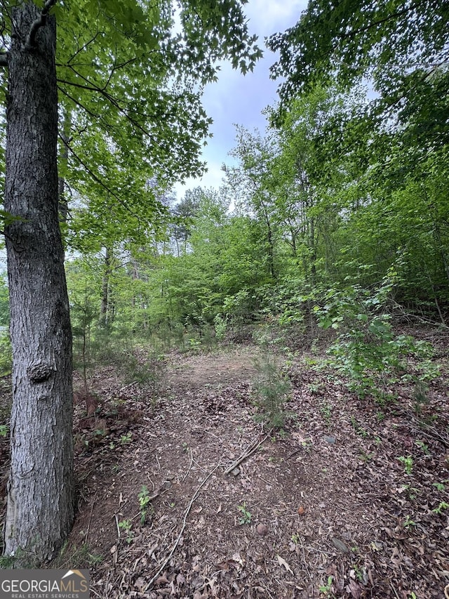 53 Cardinal Ln, Toccoa, GA 30577