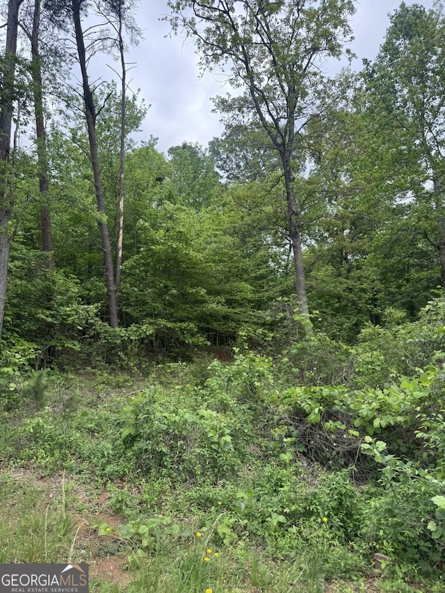 53 Cardinal Ln, Toccoa, GA 30577