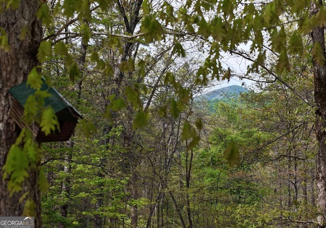 view of nature featuring a view of trees and a mountain view