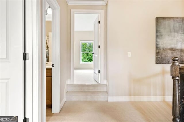 corridor featuring crown molding, baseboards, and carpet