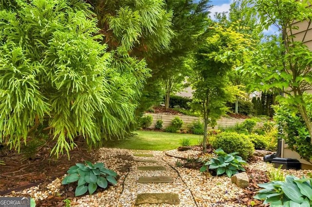 view of yard