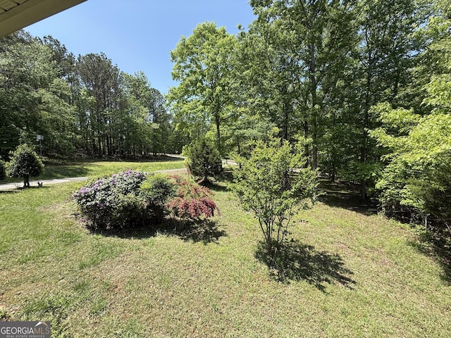 7260 Cox Rd, Cumming, GA 30028 - view of yard with a forest view