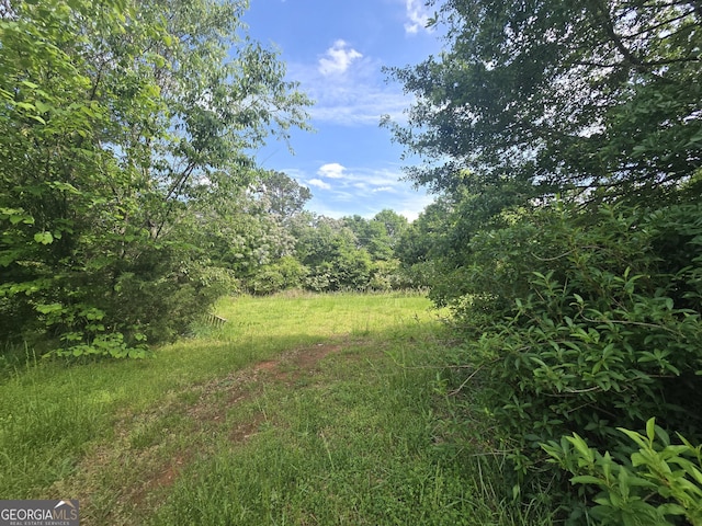 view of local wilderness