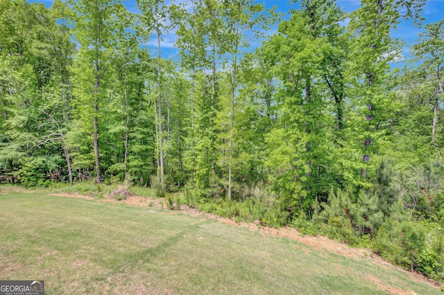 34 Oakleigh Trl, Newnan, GA 30265 - view of yard featuring a wooded view