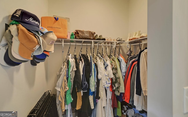view of spacious closet