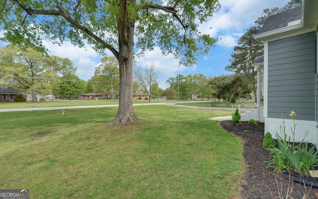 view of yard