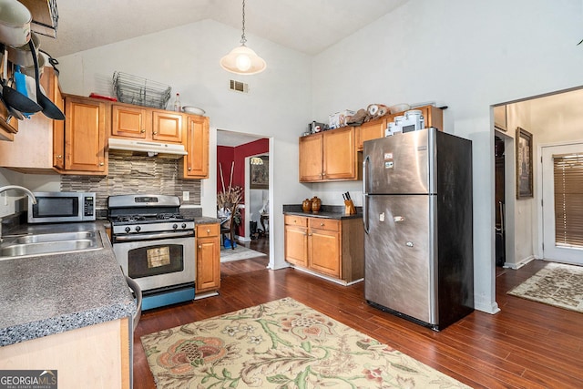 436 Berkshire Pl, Fairburn, GA 30213 - kitchen with stainless steel appliances, under cabinet range hood, a sink, high vaulted ceiling, and dark wood-style floors