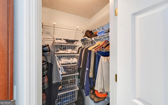 119 Ridgemore Cir, Toccoa, GA 30577 - view of spacious closet