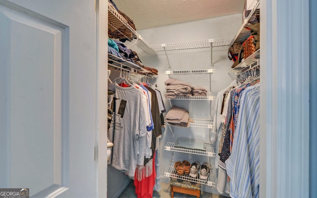 119 Ridgemore Cir, Toccoa, GA 30577 - view of walk in closet