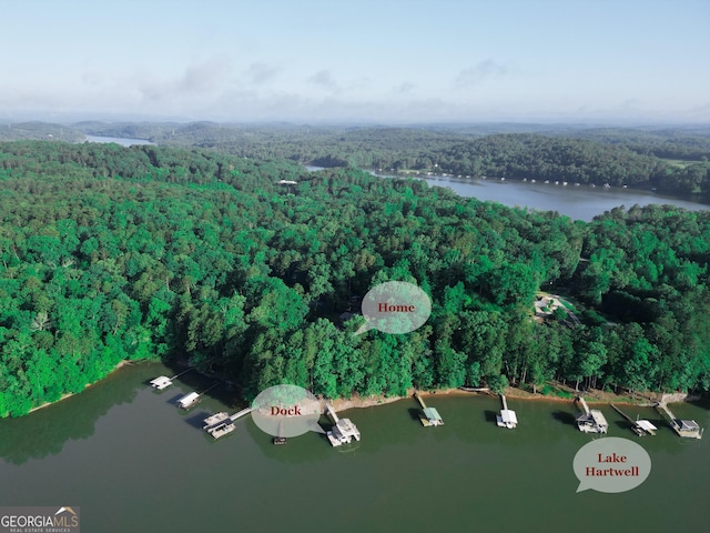 119 Ridgemore Cir, Toccoa, GA 30577 - aerial view of property's location featuring a heavily wooded area and a large body of water