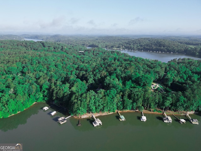 119 Ridgemore Cir, Toccoa, GA 30577 - aerial overview of property's location featuring a forest and a large body of water