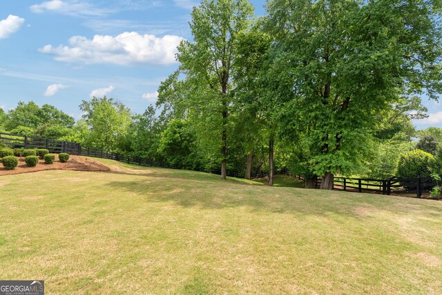 721 Paint Horse Dr, Canton, GA 30115 - view of yard