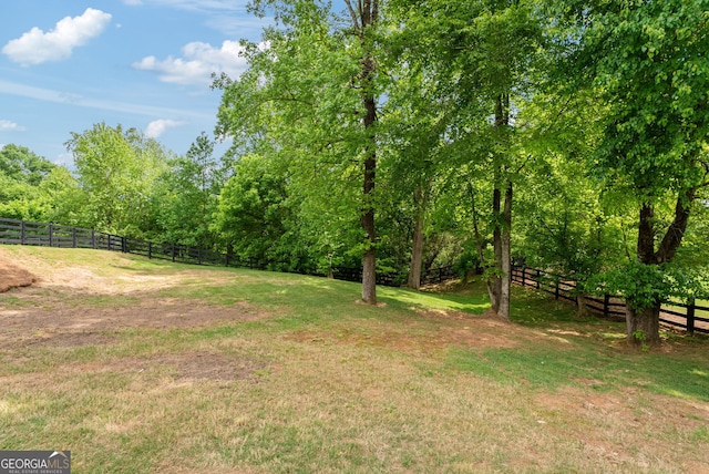 721 Paint Horse Dr, Canton, GA 30115 - view of yard