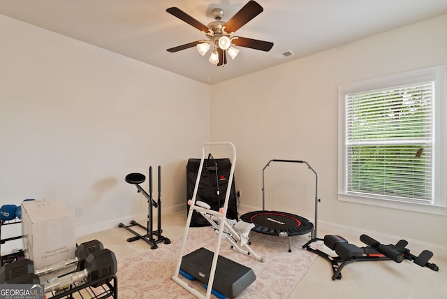 721 Paint Horse Dr, Canton, GA 30115 - workout room with a ceiling fan, baseboards, and carpet floors
