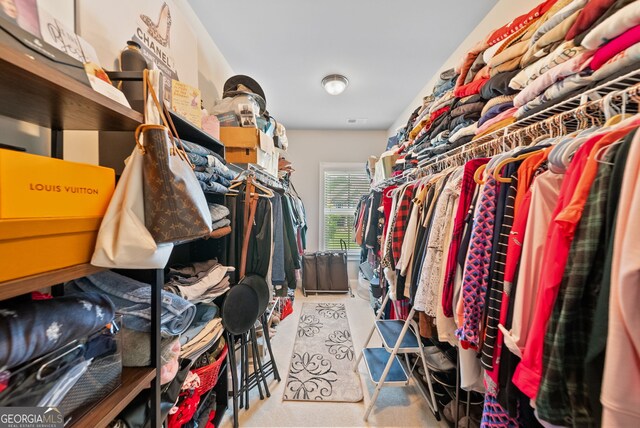 721 Paint Horse Dr, Canton, GA 30115 - view of spacious closet