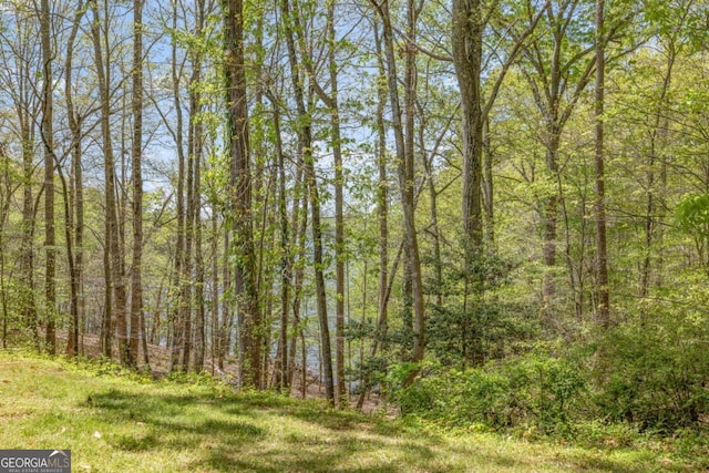 2510 Hidden Cove Ct Unit D, Gainesville, GA 30501 - view of tree filled area