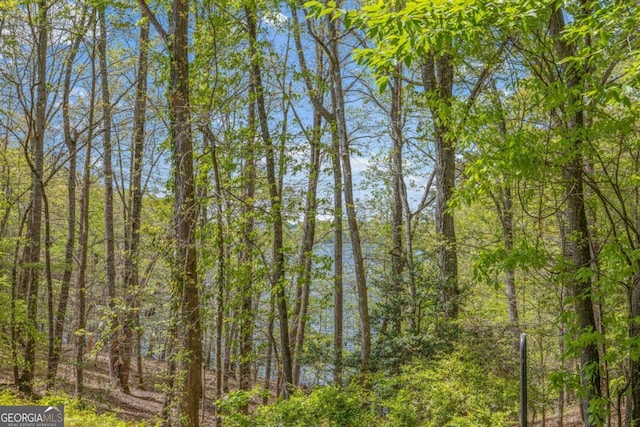 view of local wilderness with a wooded view