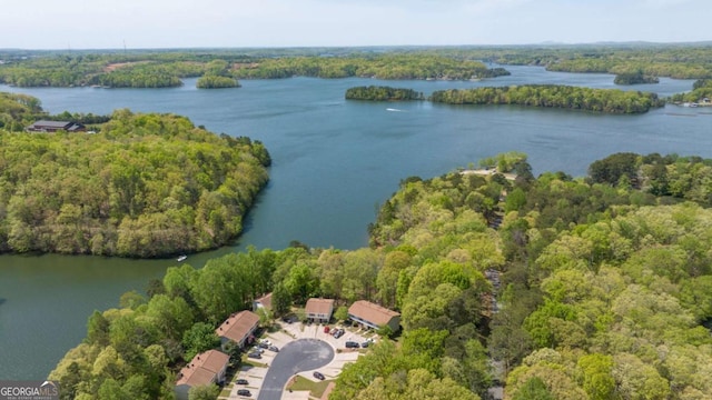 bird's eye view with a view of trees and a water view