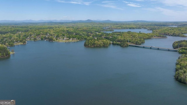 birds eye view of property with a view of trees and a water and mountain view