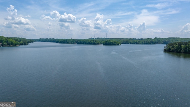2510 Hidden Cove Ct Unit D, Gainesville, GA 30501 - water view featuring a forest