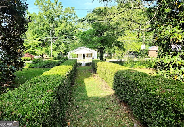 view of yard