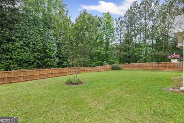 view of yard with a fenced backyard