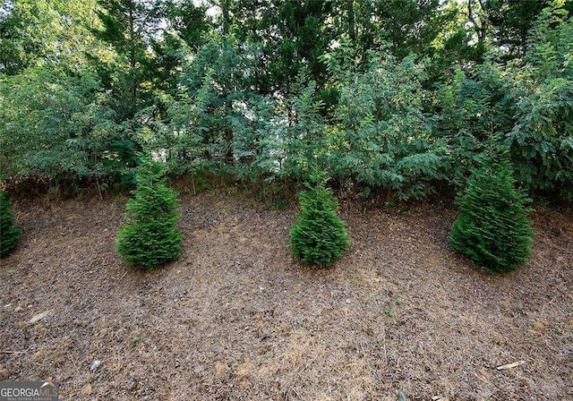 2539 Hedgeway Cir, Kennesaw, GA 30144 - view of nature