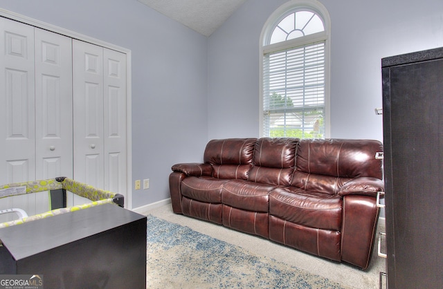 carpeted living room with baseboards, a healthy amount of sunlight, and lofted ceiling