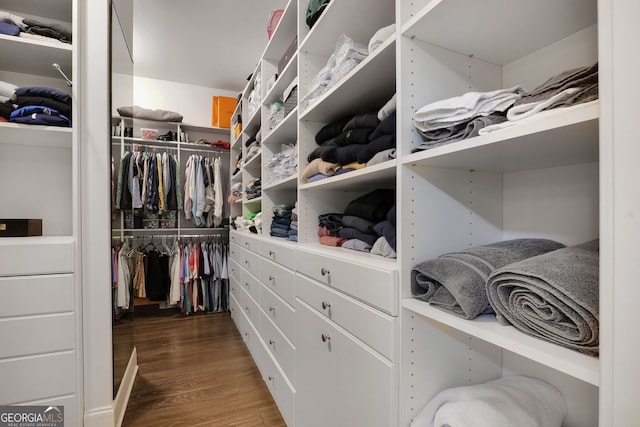 walk in closet featuring wood finished floors