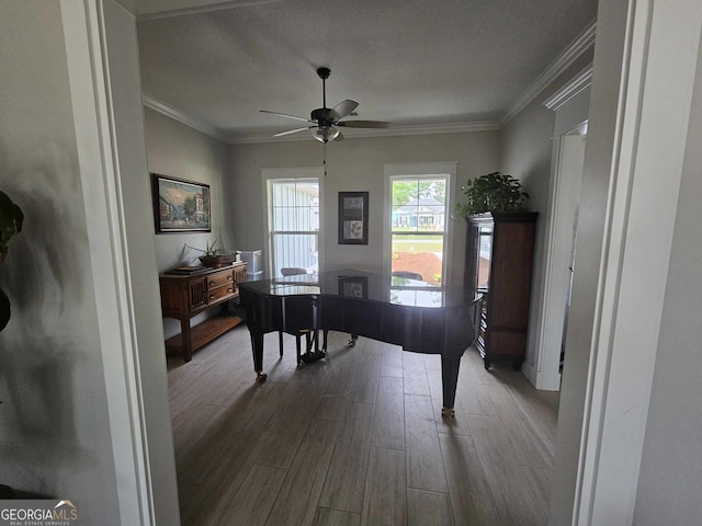 office area with crown molding, a ceiling fan, and wood finished floors