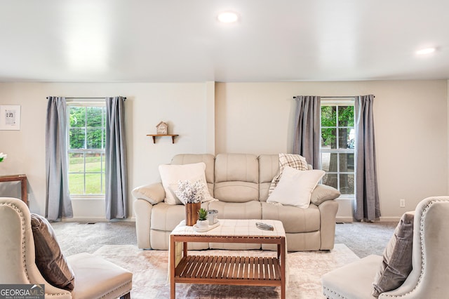 709 Tallapoosa Hwy, Cedartown, GA 30125 - living room featuring baseboards, a healthy amount of sunlight, and light carpet