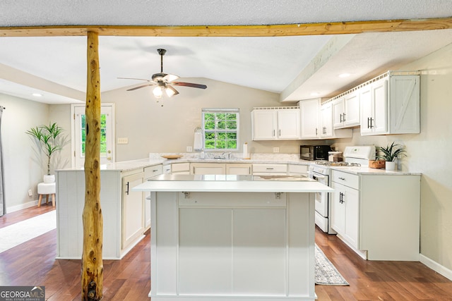 709 Tallapoosa Hwy, Cedartown, GA 30125 - kitchen with a sink, a peninsula, white range with gas stovetop, dark wood-type flooring, and vaulted ceiling