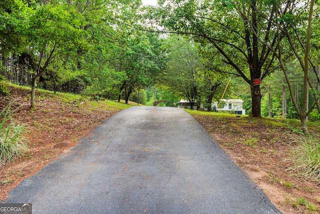709 Tallapoosa Hwy, Cedartown, GA 30125 - view of street featuring aphalt driveway