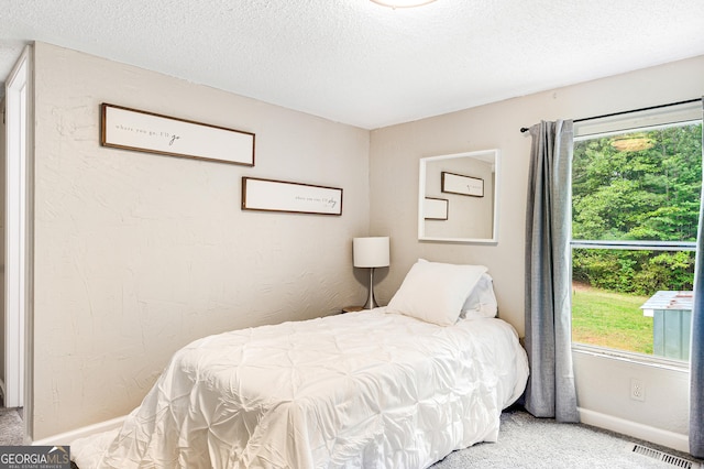 709 Tallapoosa Hwy, Cedartown, GA 30125 - carpeted bedroom featuring baseboards, multiple windows, a textured ceiling, and visible vents