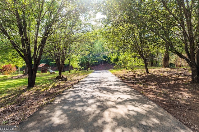 709 Tallapoosa Hwy, Cedartown, GA 30125 - view of road