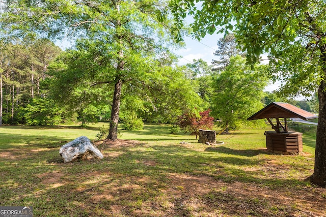 709 Tallapoosa Hwy, Cedartown, GA 30125 - view of yard