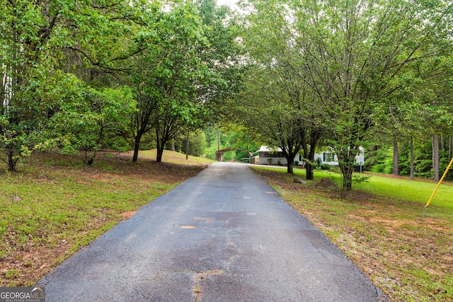 709 Tallapoosa Hwy, Cedartown, GA 30125 - view of road with driveway