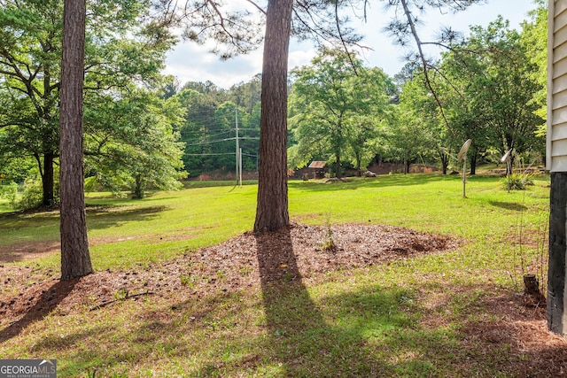 709 Tallapoosa Hwy, Cedartown, GA 30125 - view of yard