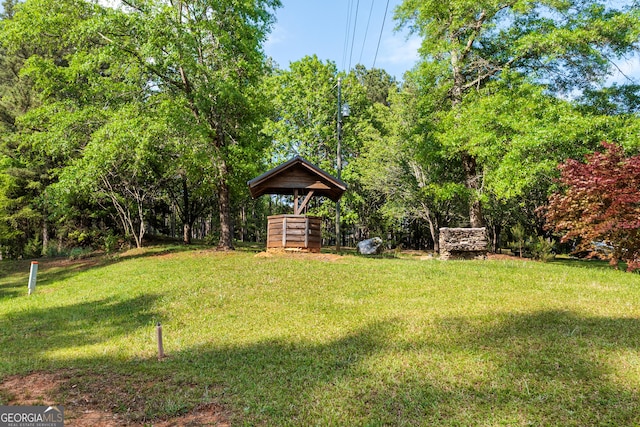 709 Tallapoosa Hwy, Cedartown, GA 30125 - view of yard