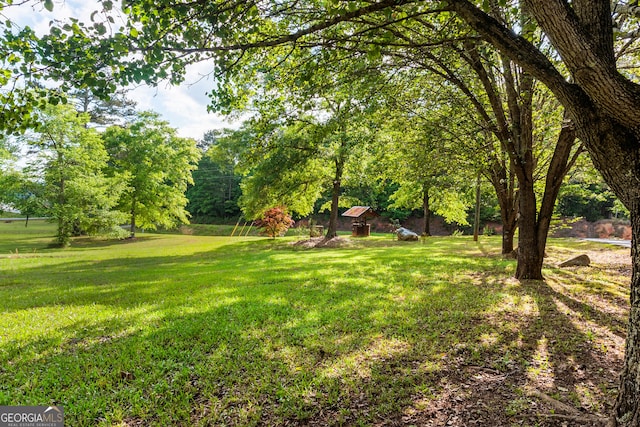 709 Tallapoosa Hwy, Cedartown, GA 30125 - view of yard