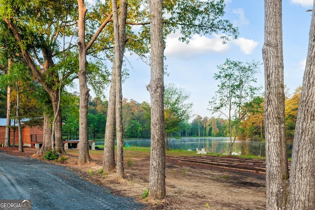 709 Tallapoosa Hwy, Cedartown, GA 30125 - view of property's community with a water view
