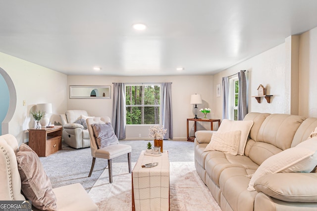 709 Tallapoosa Hwy, Cedartown, GA 30125 - living area featuring recessed lighting, a healthy amount of sunlight, and light carpet