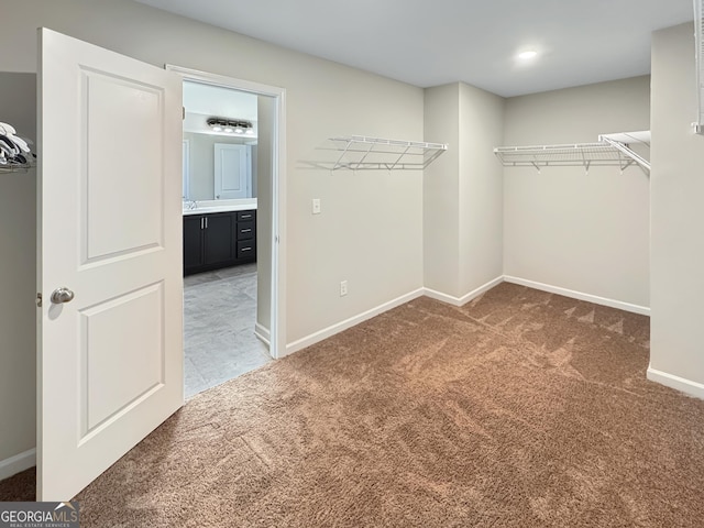 376 Layfield Dr, Jonesboro, GA 30238 - walk in closet featuring carpet flooring and a sink