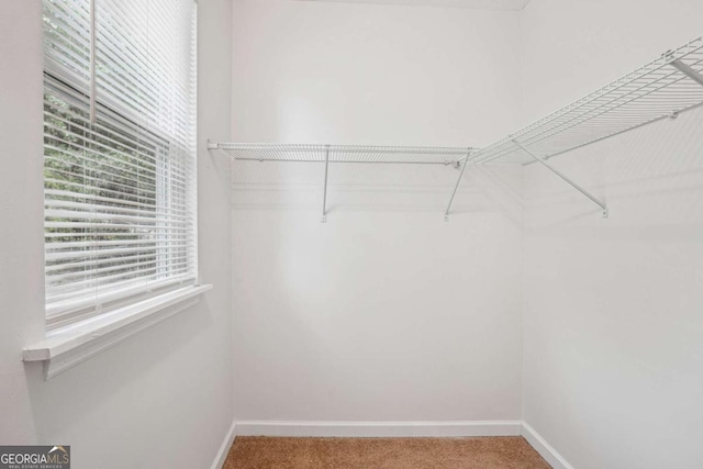 3688 Burnley Ct, Lithonia, GA 30038 - walk in closet featuring carpet