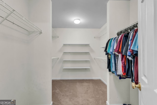 5303 Davenport Mnr, Cumming, GA 30041 - walk in closet featuring carpet floors