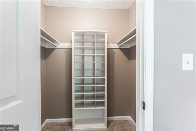 848 E Ave, Scottdale, GA 30079 - walk in closet with carpet flooring