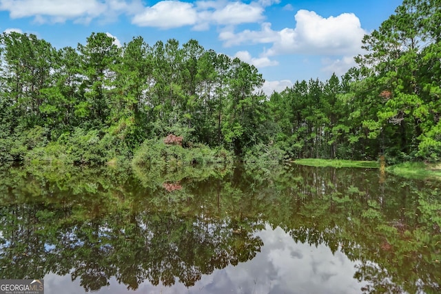 view of water feature with a forest view
