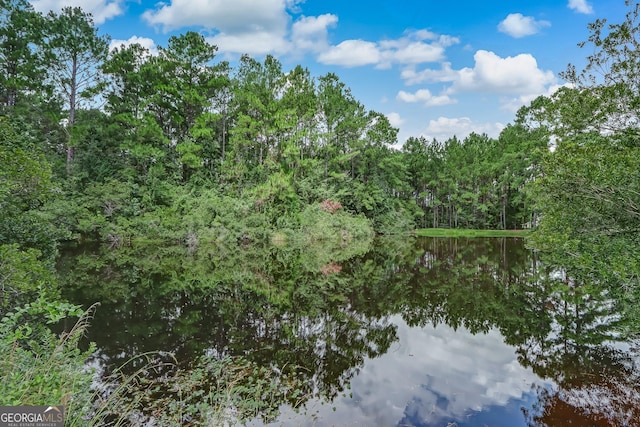 view of landscape featuring a forest view and a water view