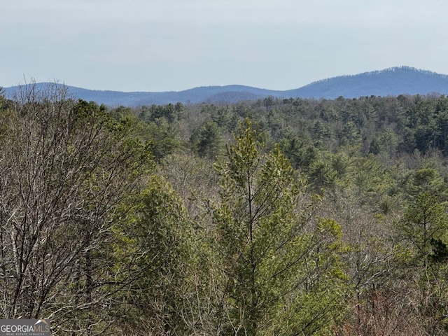 420 Martin Rd, Ellijay, GA 30536 - view of mountain feature featuring a wooded view