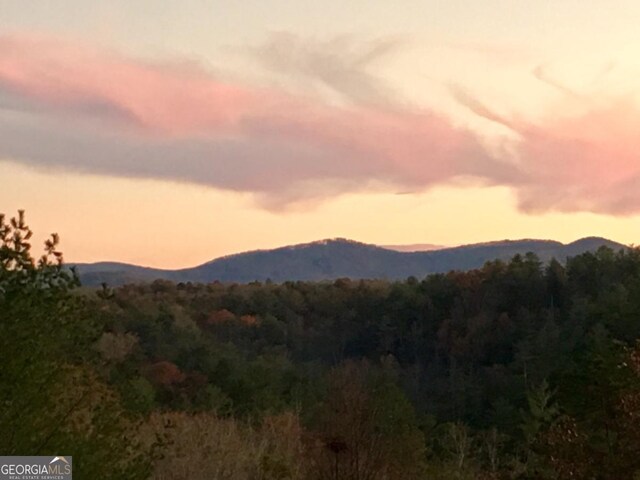 420 Martin Rd, Ellijay, GA 30536 - view of mountain feature featuring a wooded view